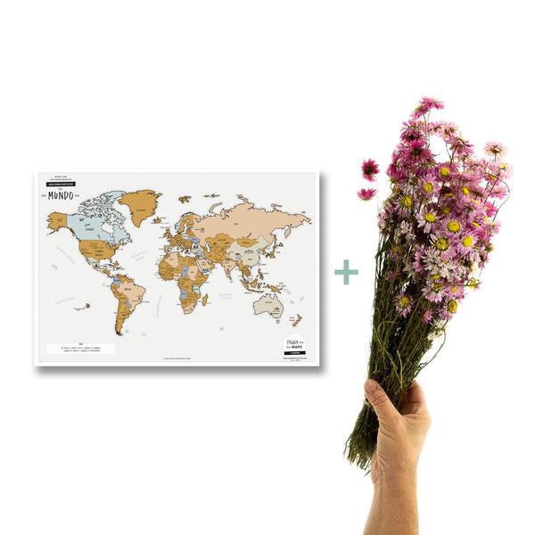 Pack Regalo: Mapa Mundo + Ramo Flores Secas Color Rosa